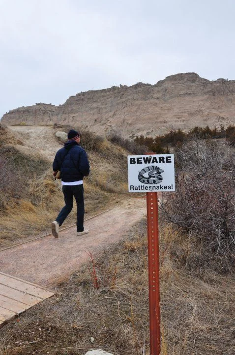 No snakes, YOU BEWARE OF CRUMPLER!!!!